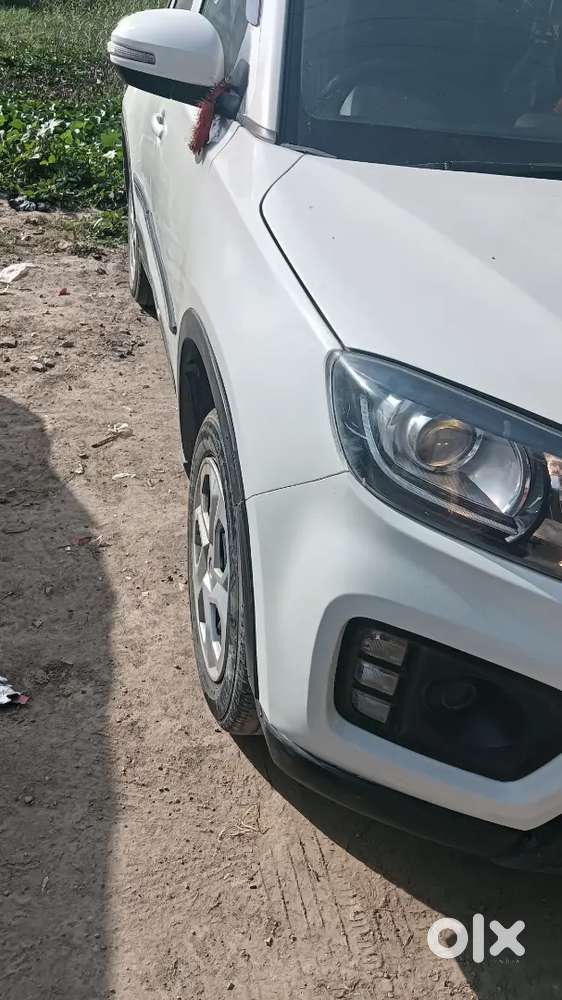 Brizza 2022 Cng