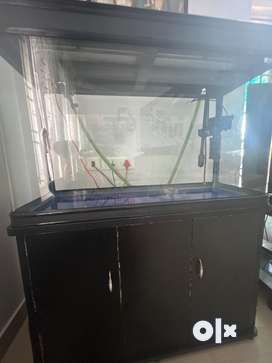 Poojappura aquarium best sale