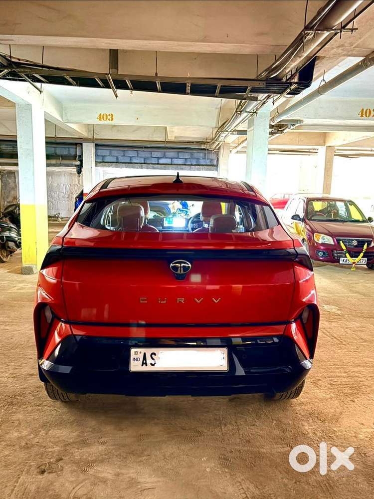 Tata Curvv 2024 Petrol Well Maintained