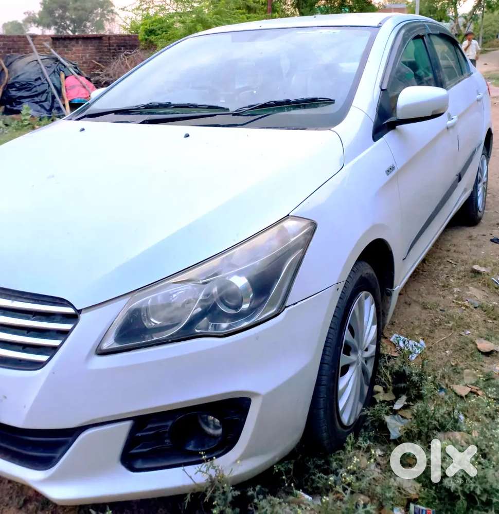 Maruti Suzuki Ciaz 2017 Diesel Well Maintained