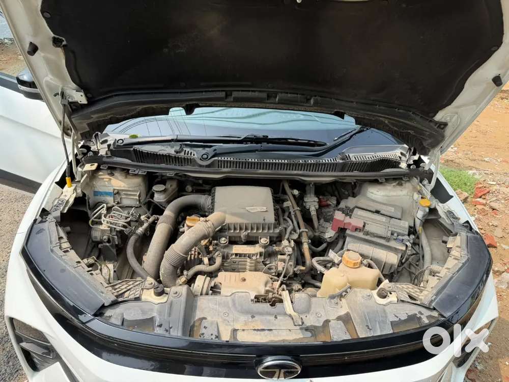 Tata Nexon Pure Plus Cng 2025