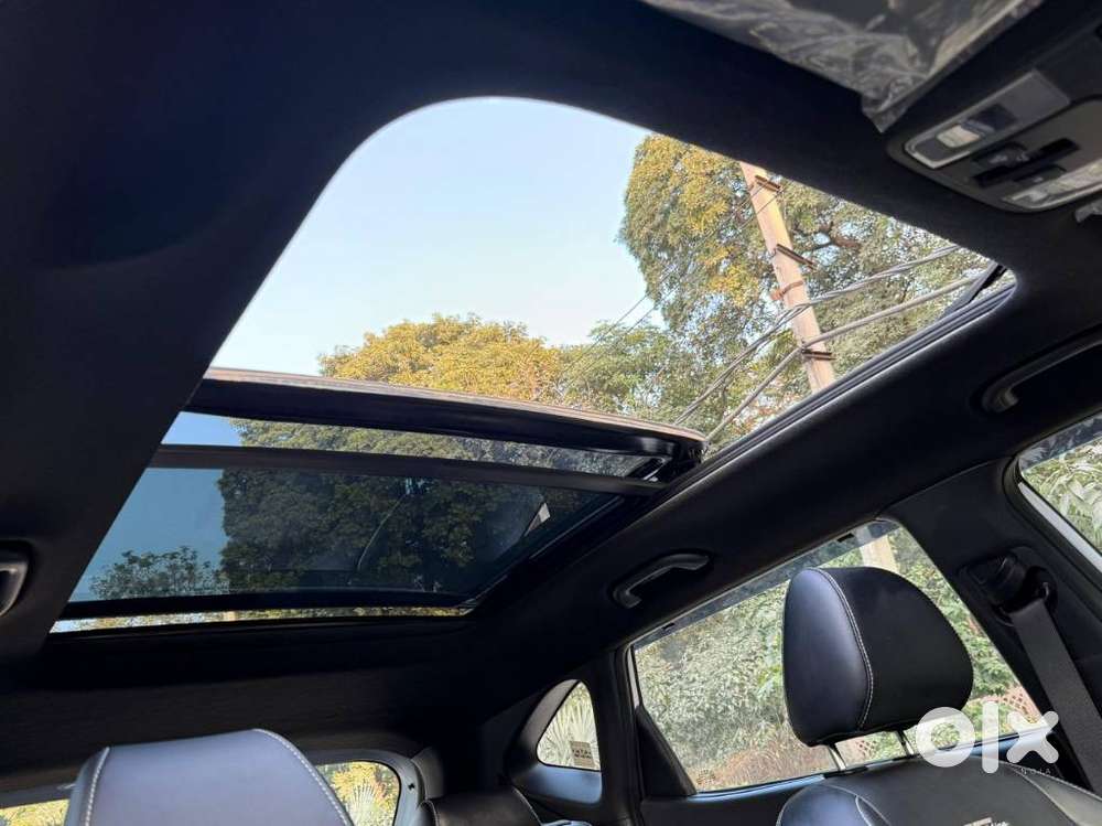 Kia Seltos Gtx Dct, 2024, Petrol