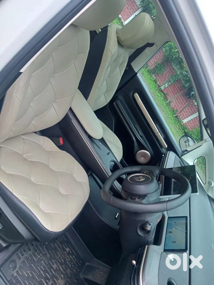 Mg Windsor Ev, 2025, Electric