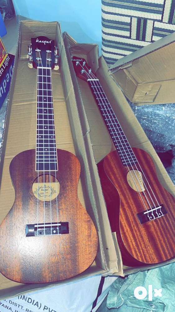 Olx ukulele concert top