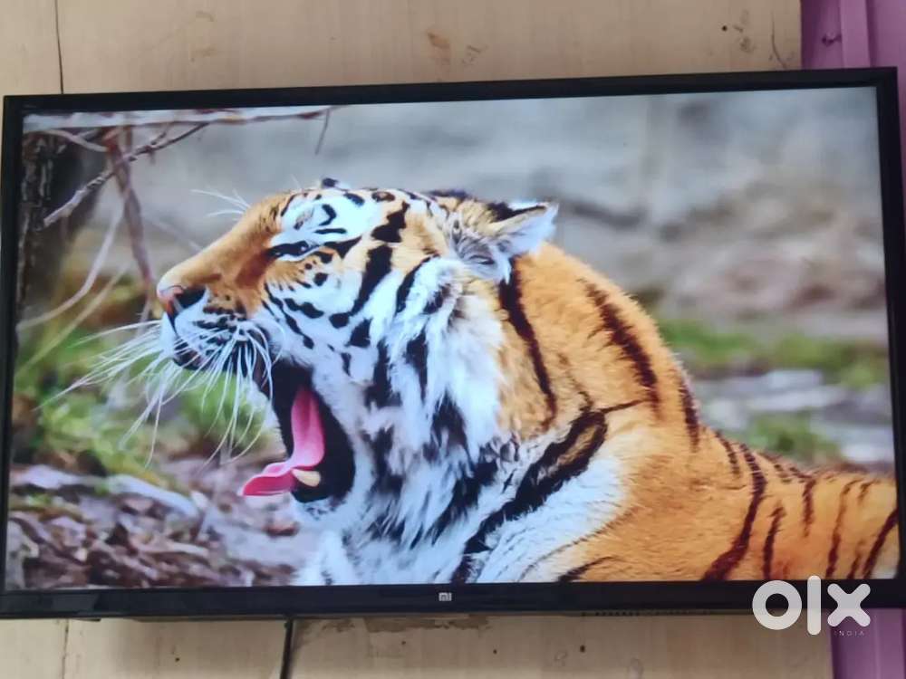 Mi Android smart TV 32 inch