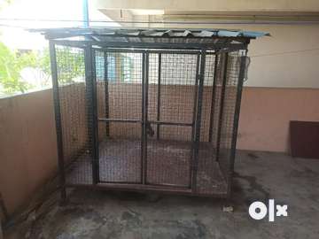 Dog best sale cage olx