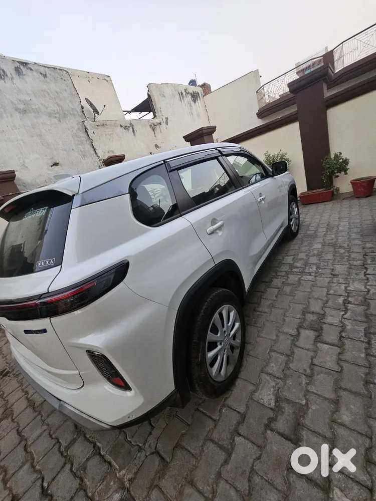 Maruti Suzuki Grand Vitara 2025 Petrol 6700 Km Driven