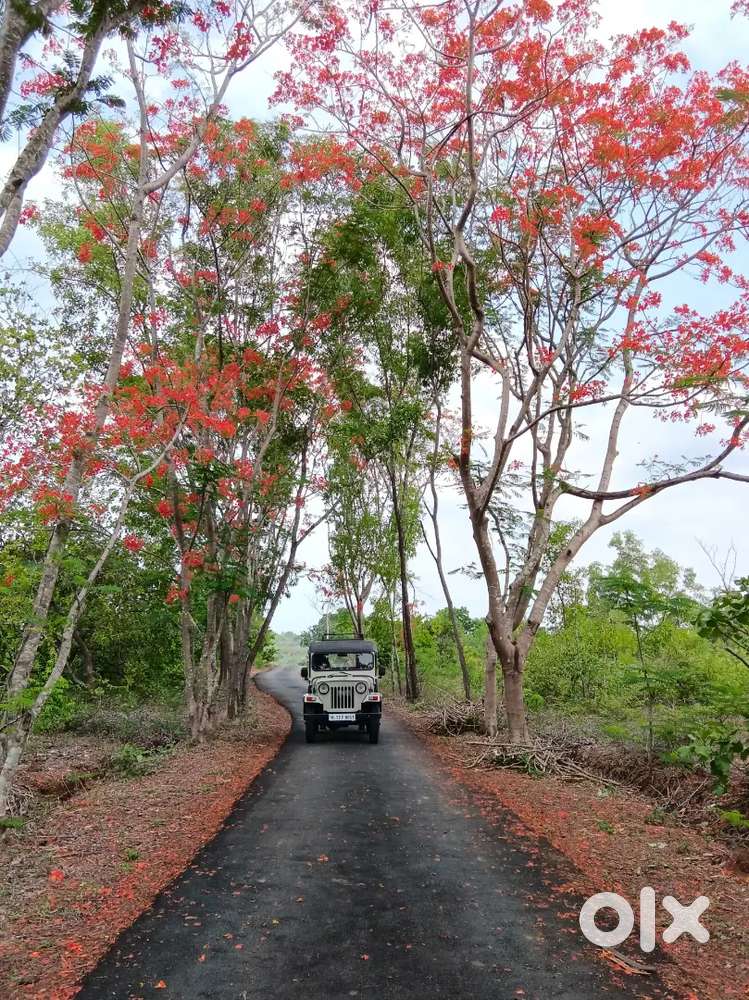 Mahindra Jeep 2000 Diesel Well Maintained