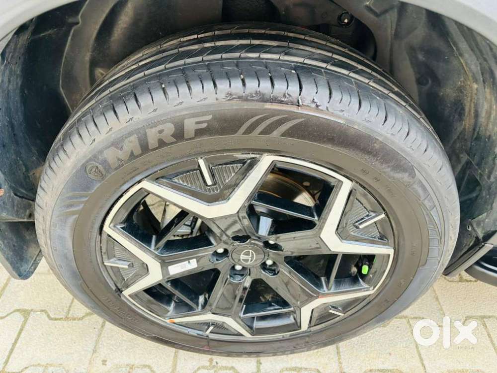 Tata Safari Accomplished Plus Dual Tone At, 2024, Diesel