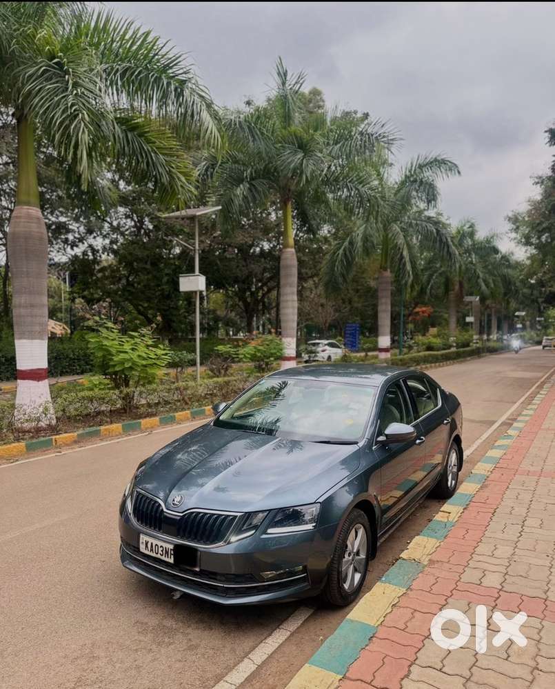Skoda Octavia 2019 Petrol 47500 Km Driven