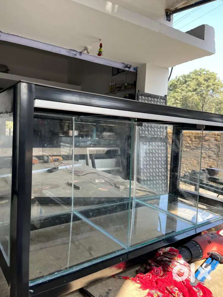 Glass Display Counter / Showcase for Sale &ndash; Good Condition