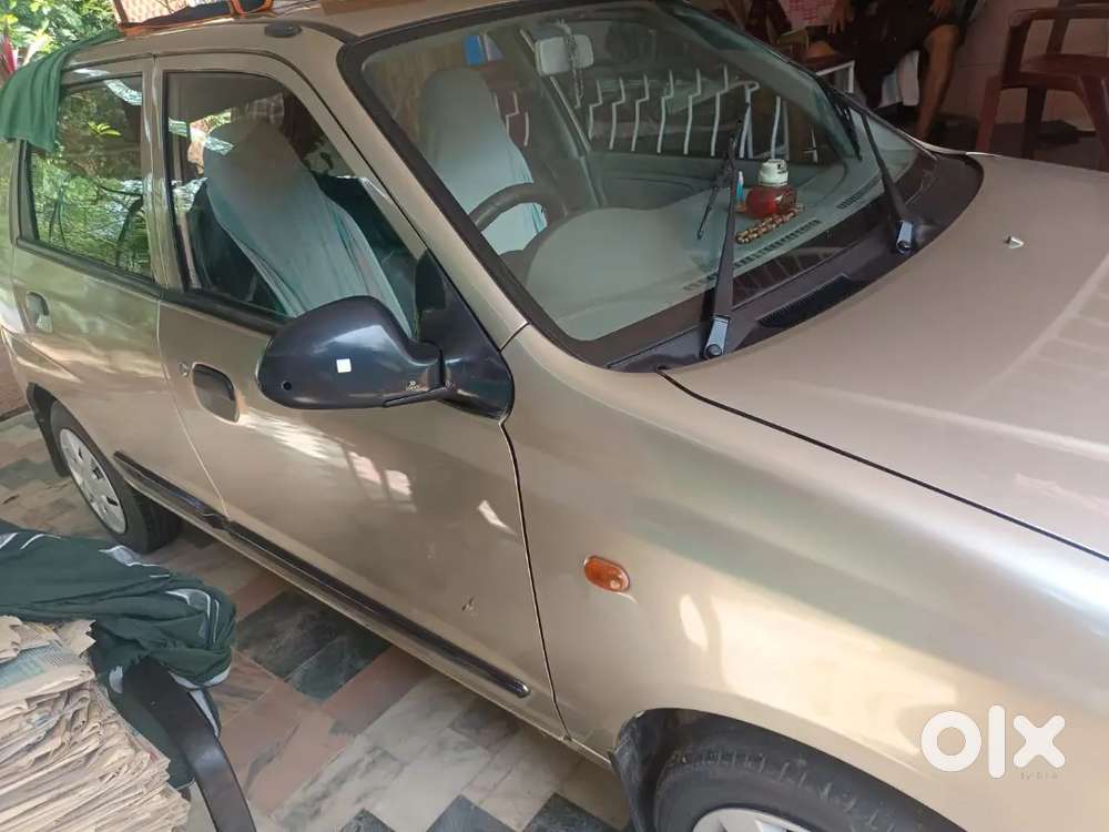 Pepper Up To 2031, Newly Tested, New Insurance, New Polution