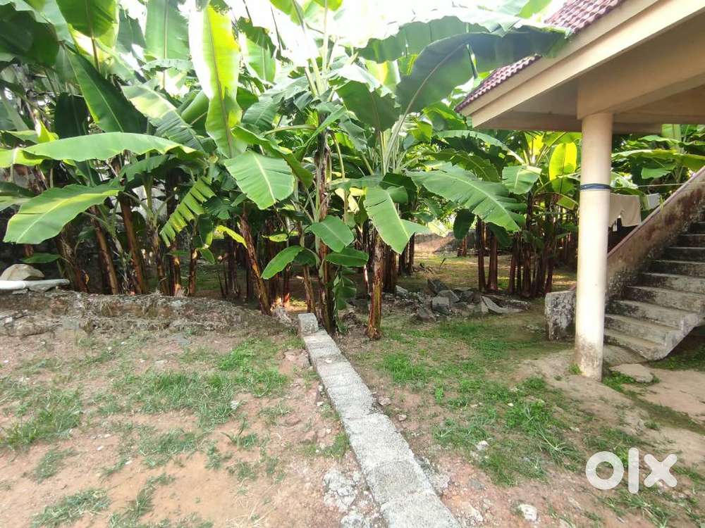 4 Cent Plot 250m from Muttom Metro, Kalamassery | 40 L