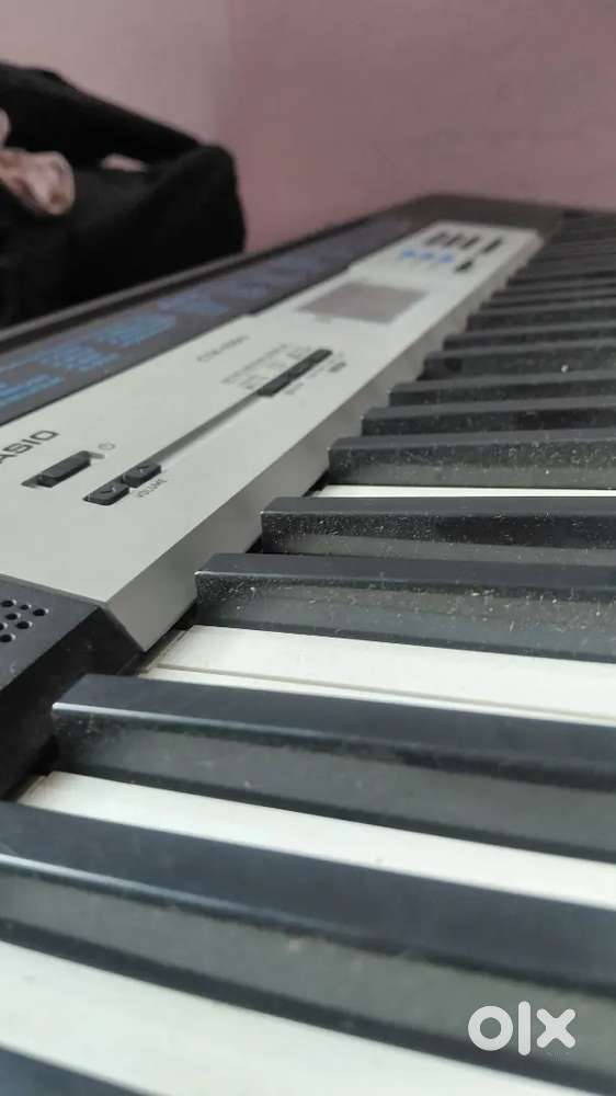 Professional Casio piano