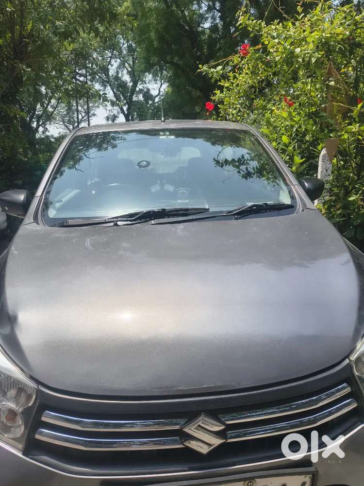 Maruti Suzuki Celerio 2014 Petrol With Authorised Cng