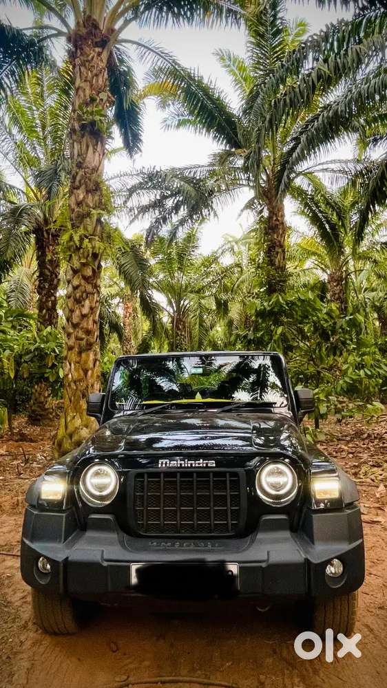 Mahindra Thar 2023 Diesel 55000 Km Driven