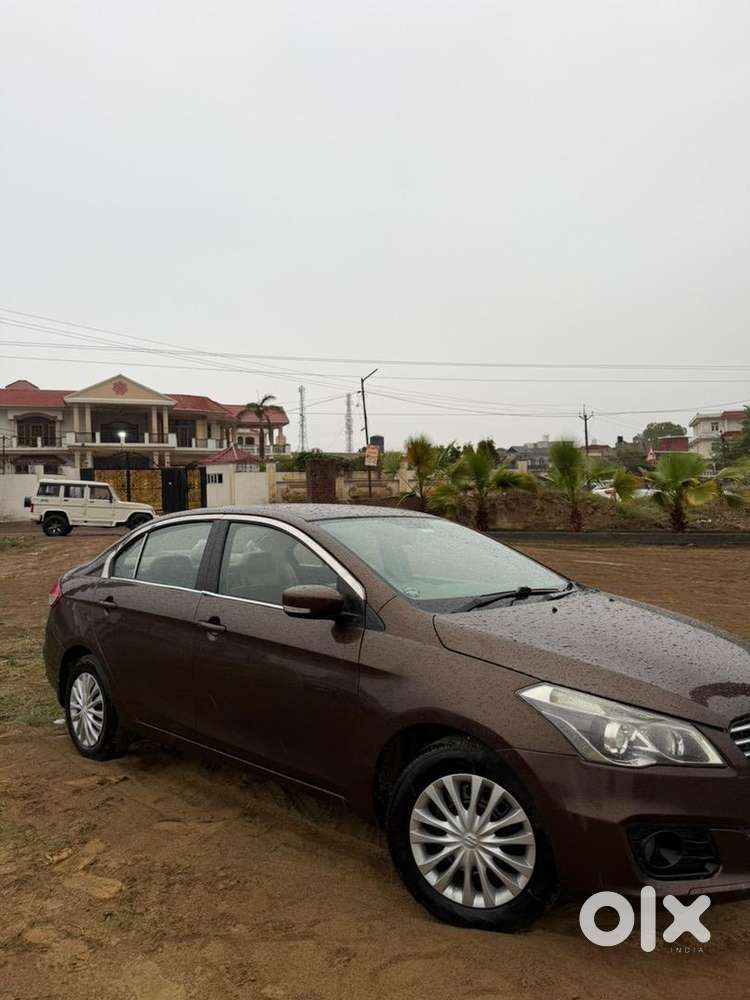 Maruti Suzuki Ciaz 2016 Diesel Well Maintained