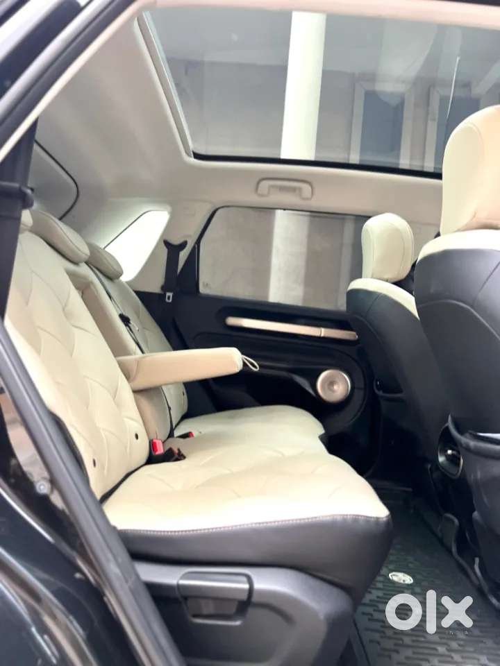 Mg Windsor Ev, 2025, Electric