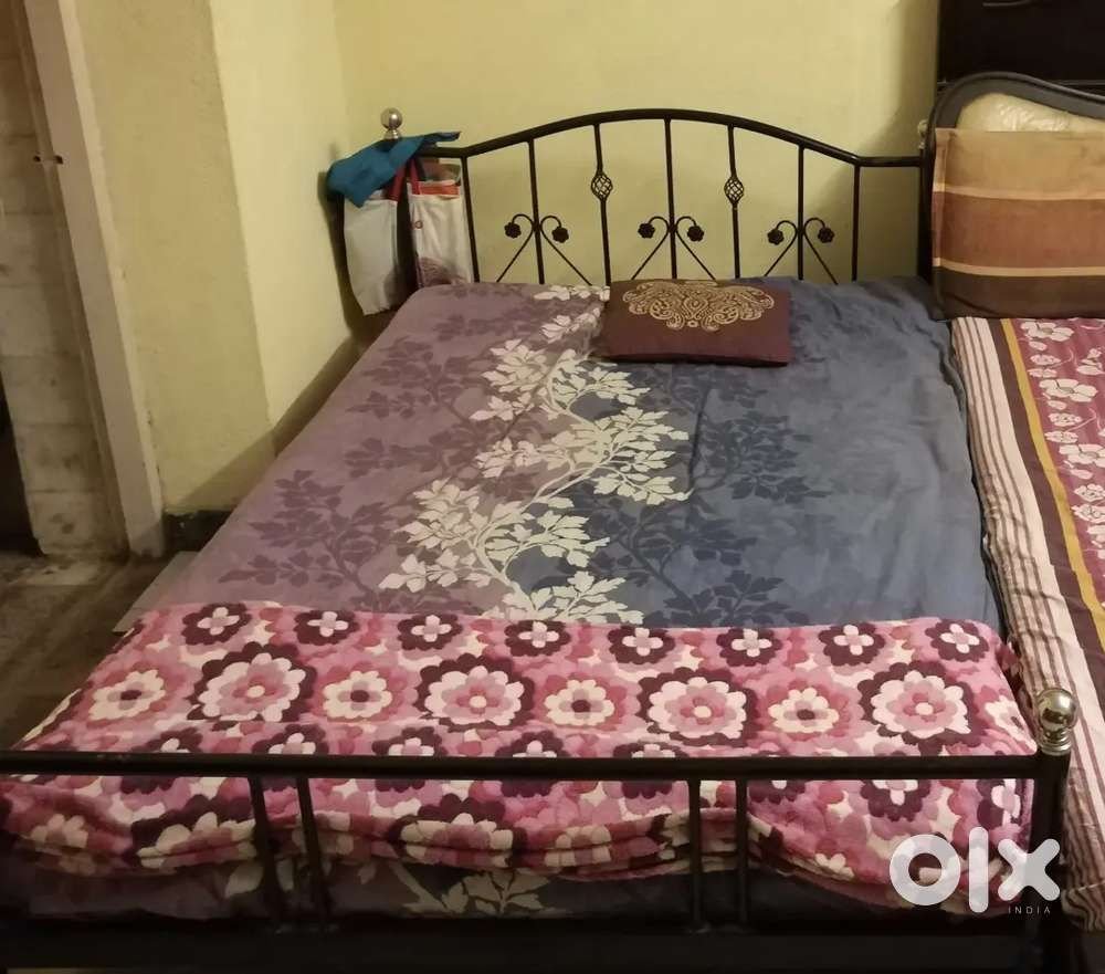 Queen size Double bed/cot steel Beds & Wardrobes 1786461437