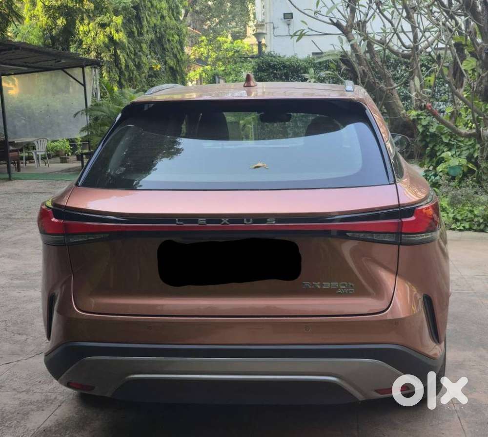 Lexus Rx 350h Panasonic, 2023, Petrol