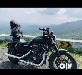 Harley davidson roadster online olx