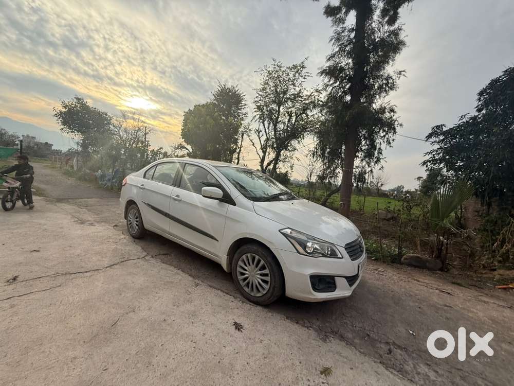 Maruti Suzuki Diesel 2018