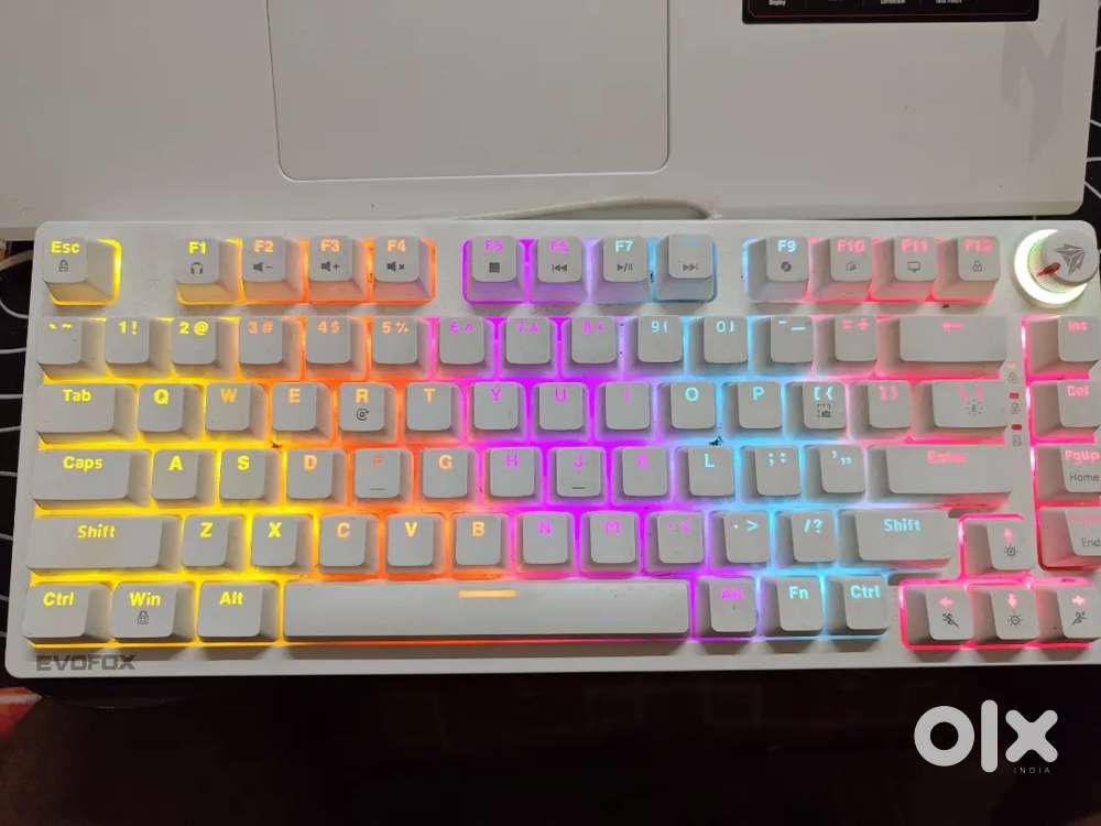EvoFox Katana X2 TKL Wired Mechanical Gaming Keyboard