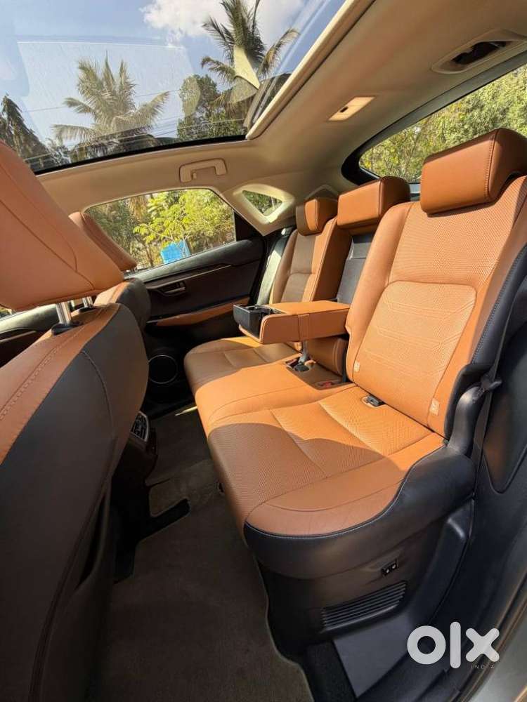 Lexus Nx Lexus-nx-300h-luxury, 2019, Petrol