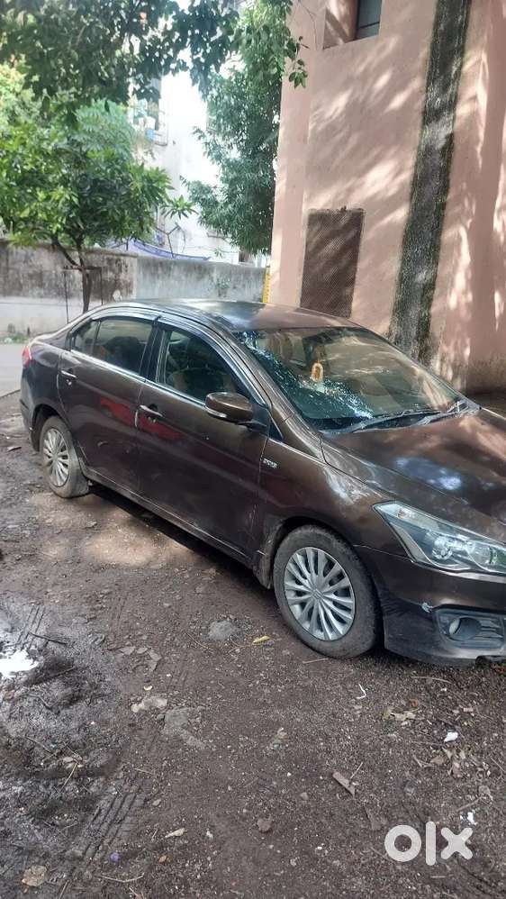 Urgent Cell