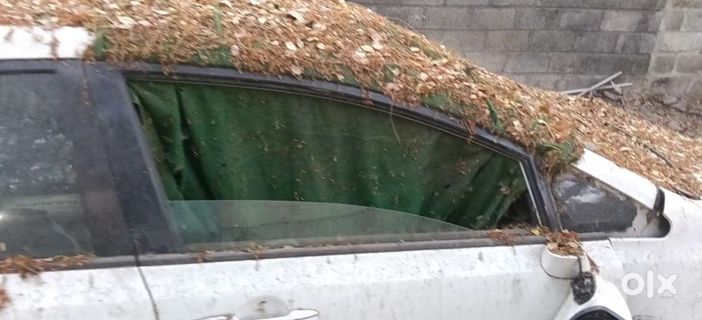Repair Or Scrapp
