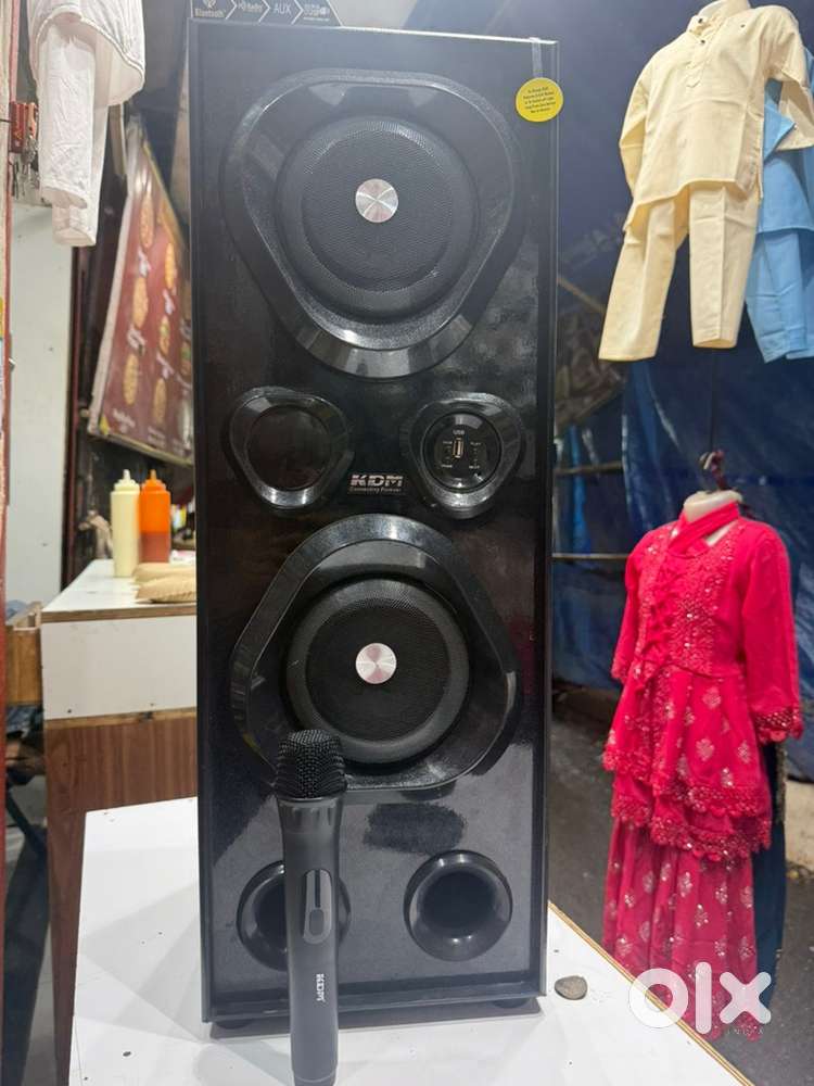 KDM speaker 220wt