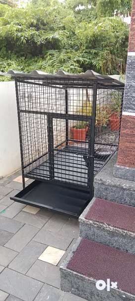 Dog Cage Buy Sell Pet Food Accessories Online in Kochi OLX