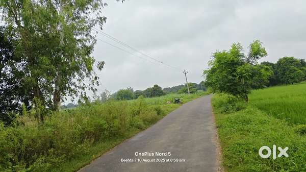 5 beegha Agriculture Land on Road 4km from Ganga jewar Link Expressway