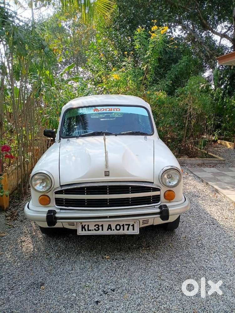 Ambassador Ambassador 2008