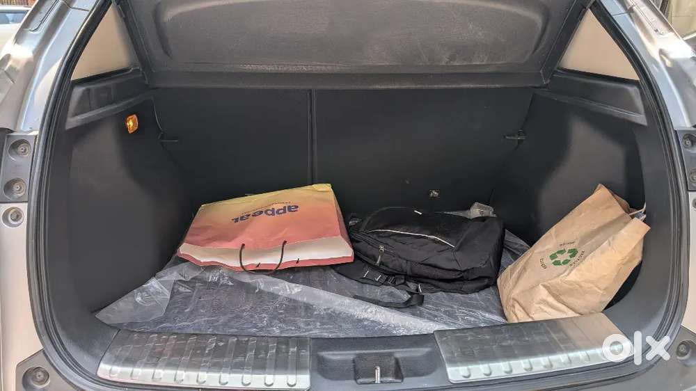 Zx Automatic Elevate