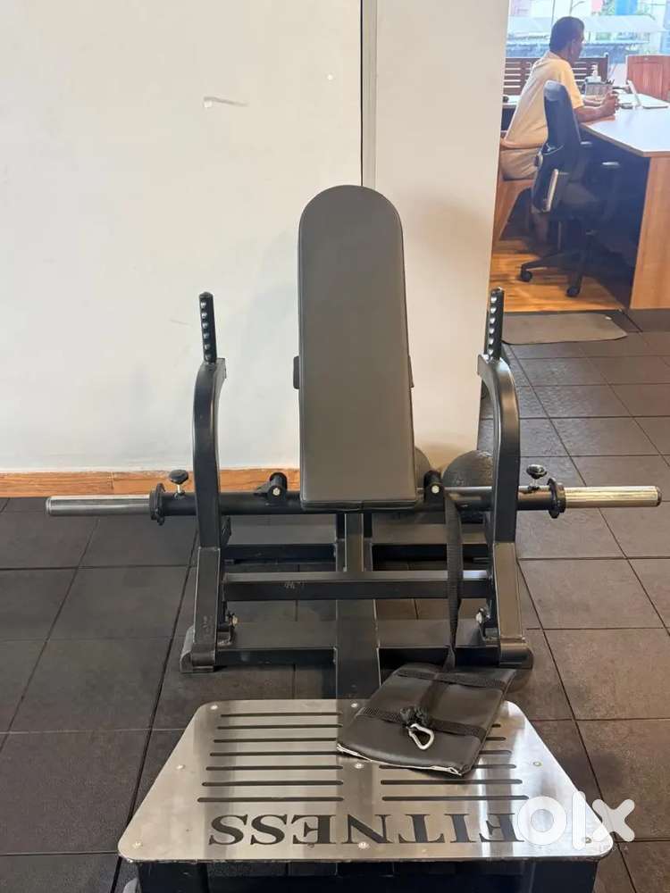 Side Lateral Rise, Hip Thrust, Leg Press, Dip Chin, Fixed Bar Bell