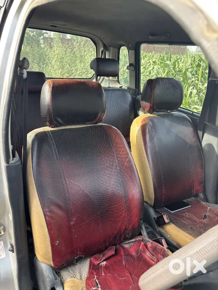 Maruti Suzuki Wagon R Flex Fuel 2009