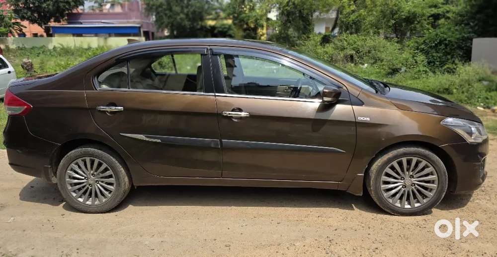 Maruti Suzuki Ciaz Zdi Plus Shbs 2017