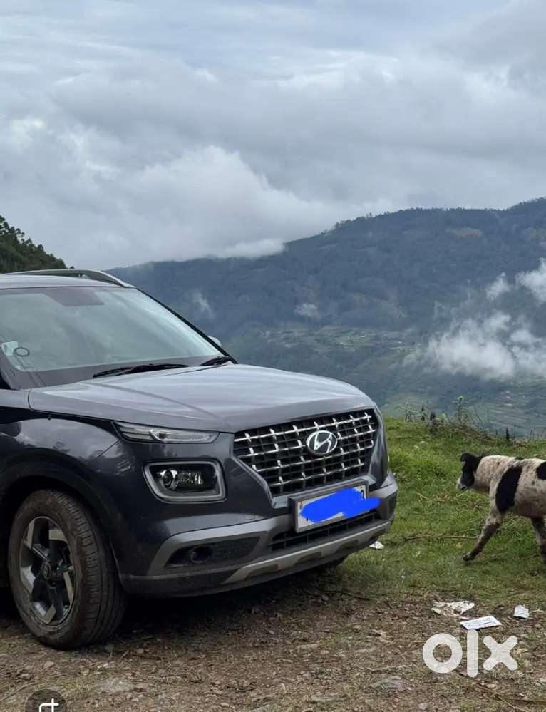 Venue Petrol Automatic 2021