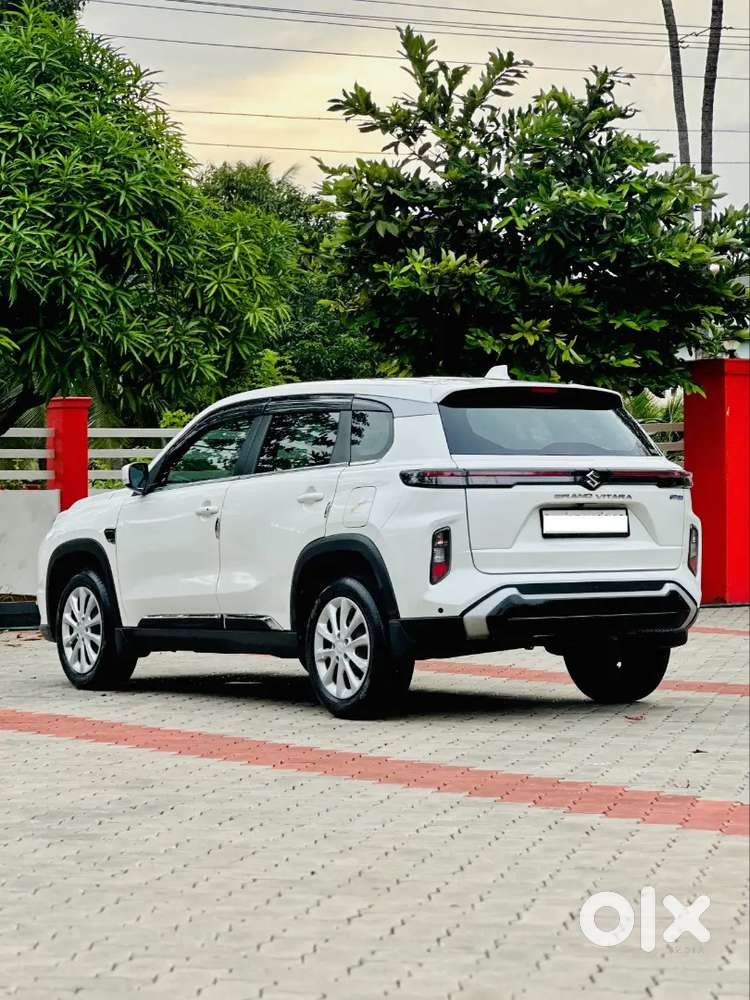 Maruti Suzuki Grand Vitara Delta Smart Hybrid