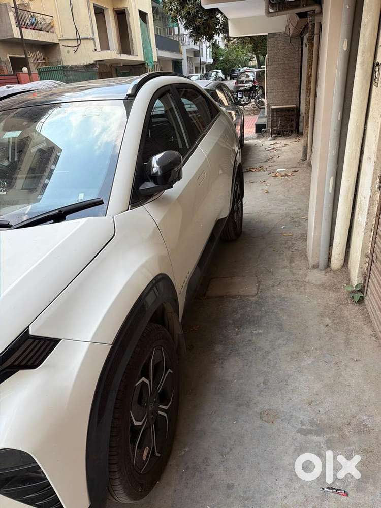 Tata Curvv 2024 Petrol Well Maintained