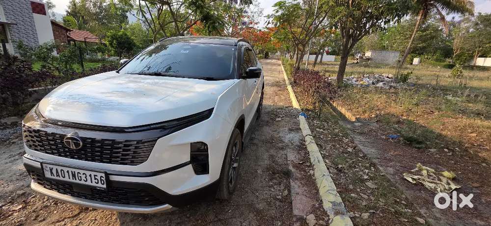 Brand New Safari Adventure X+ At With Adas