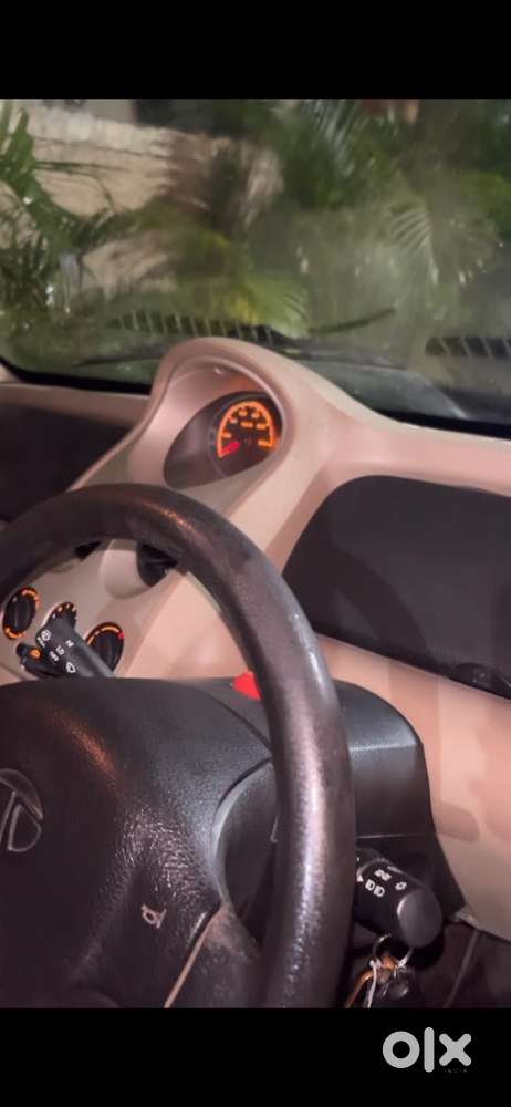 Tata Nano Petrol 2013