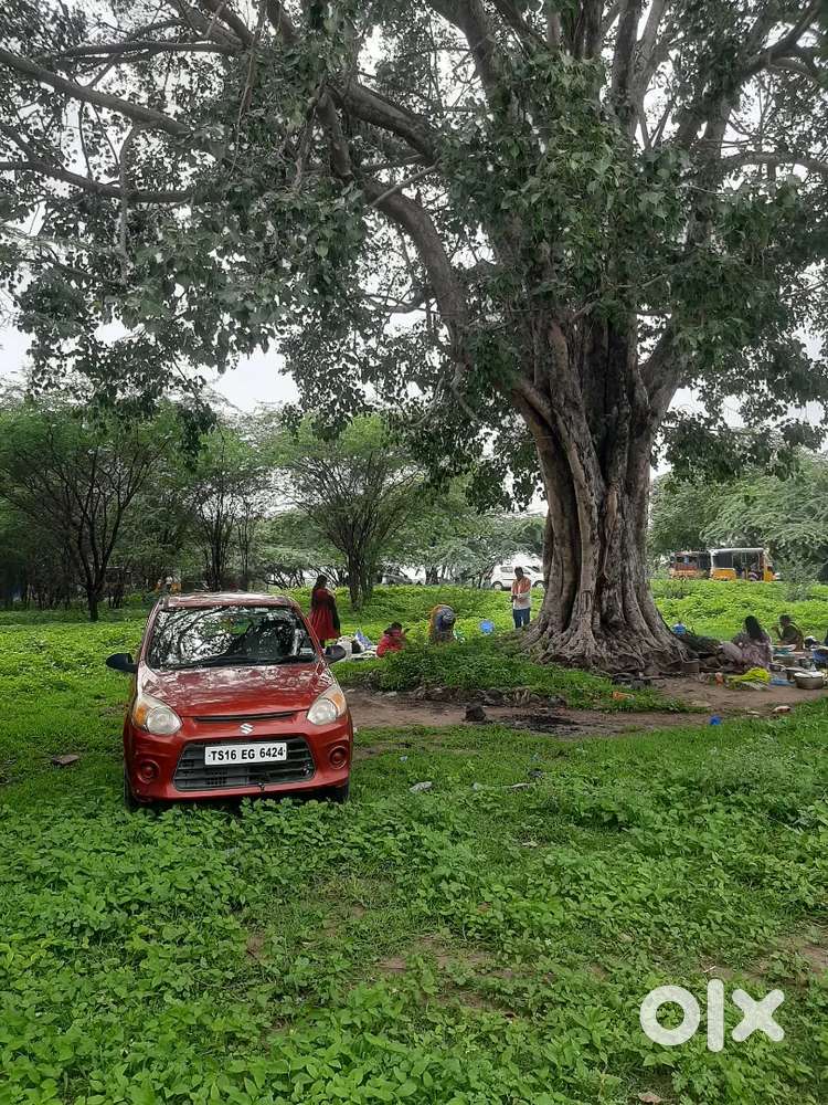 Alto 800 Leady Doctor Car Neat And Smart