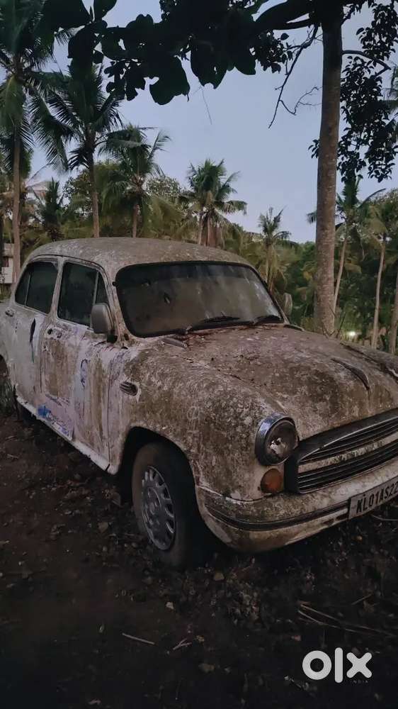 Ambassador Ambassador 1987