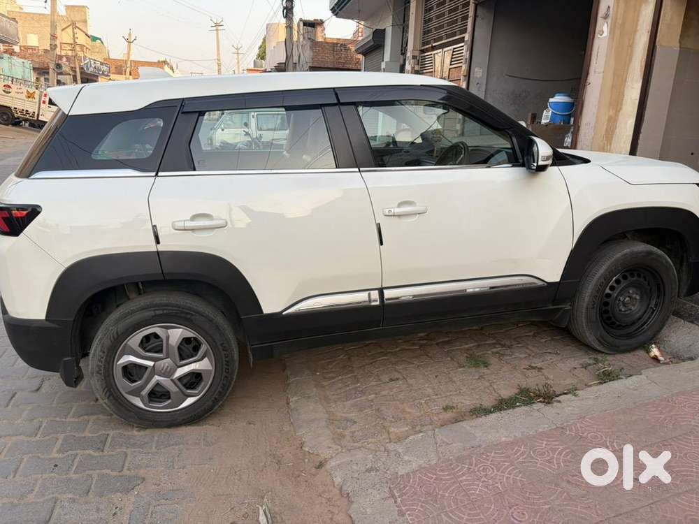 Maruti Suzuki 2023 Car