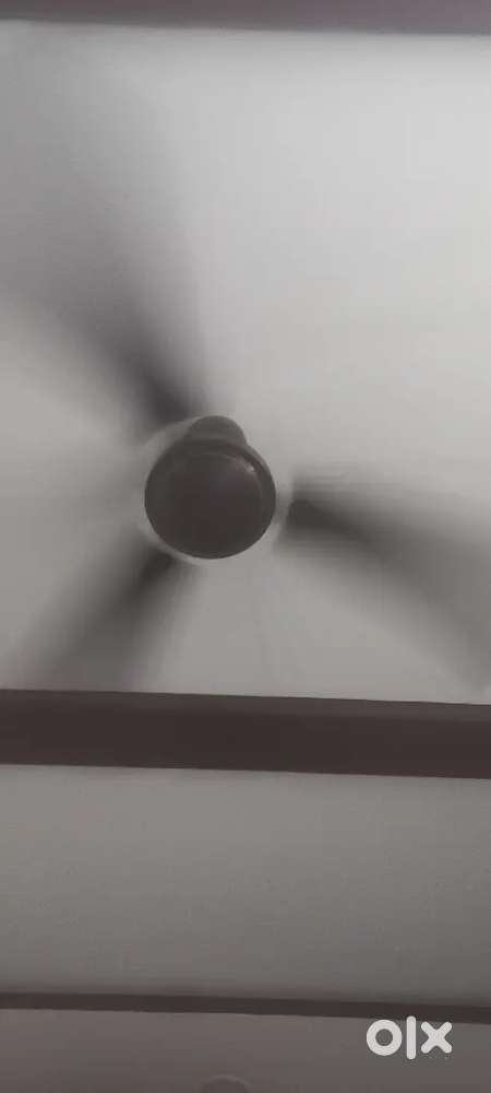 Havells bldc fans