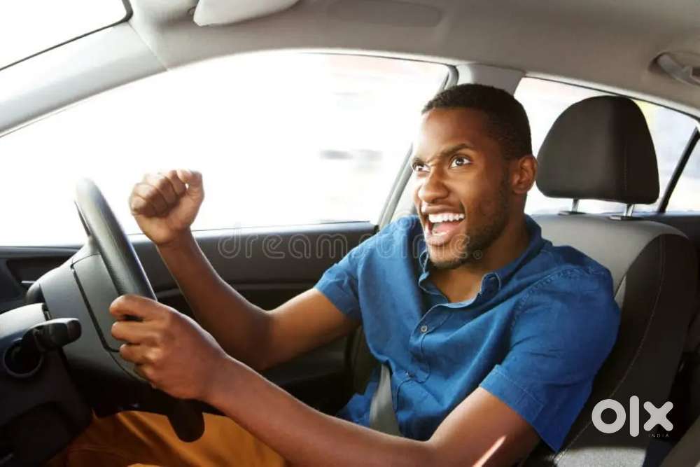 Need a professional driver - Driver in Subash Nagar, Indore - 1836588292