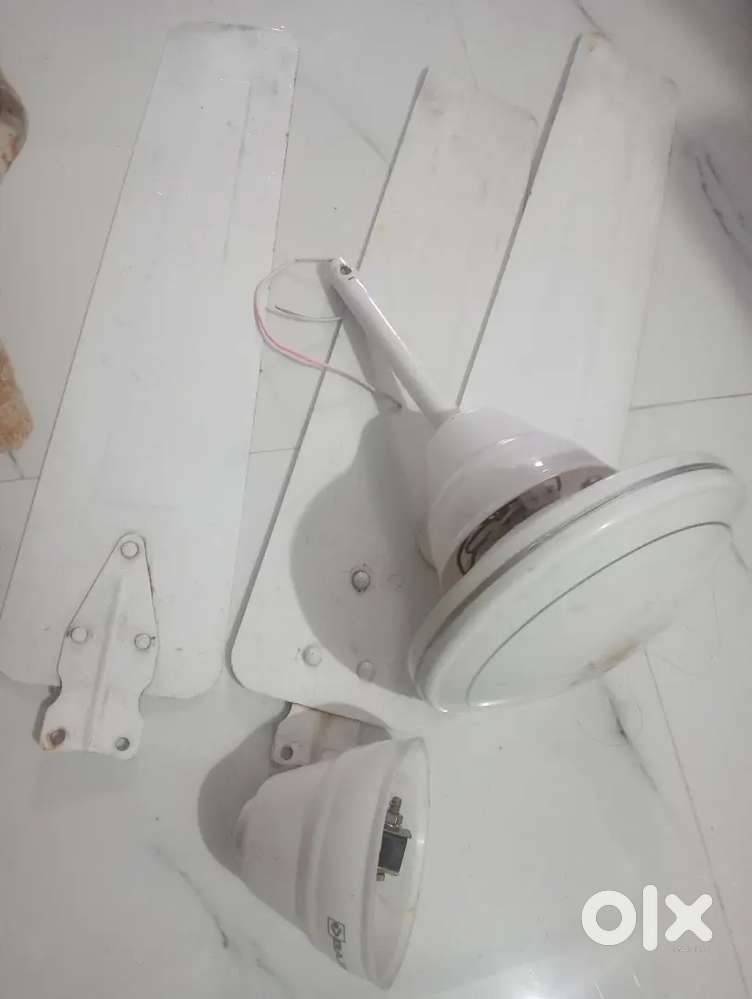 Fan  only 5 months used