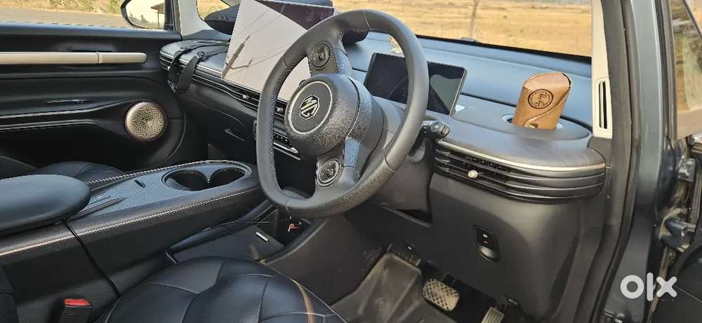Mg Windsor Ev Essence 2025